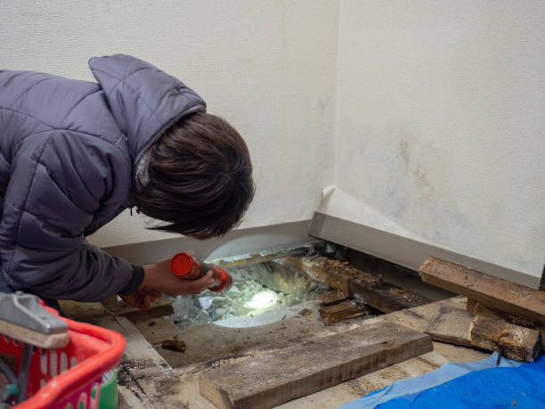Best Comprehensive Air Testing for Mold Contaminants  in Phenix City, AL